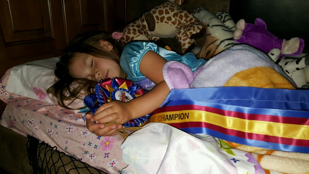 Since winning the Leadline 6-Under Trail class during the 2016 Pony Of the Americas Club (POAC) National Congress at Tulsa, 5-year-old Maguire Biggs, who lives in the Chickasha area, has chosen to taken her ribbon to bed with her each night.